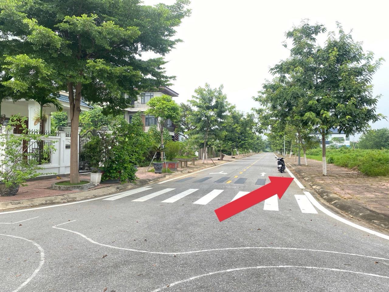 Hàng Mới KĐT Nam Vĩnh Yên - DT 300m2 - Giá tốt - Sẵn bìa đỏ